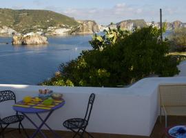 B&B La Terrazza Sul Porto, guest house in Ponza