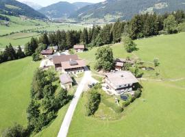 Steinerbauer, farm stay in Flachau
