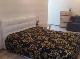 Современная квартира у метро Студенческая Дафи Караван Барабашово