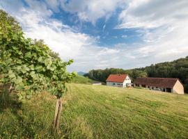 Schwalbennest Pongratz, котедж у місті Гамліц