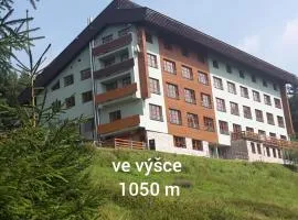 Vysokohorský Apartmán Cihlářka