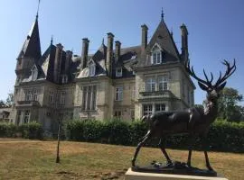 Napoleon Chateau Luxuryapartment for 18 guests with Pool near Paris!