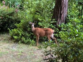 A Tiny Escape, vacation home in Roberts Creek