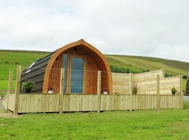 Lilly's Lodges Orkney Hedgehog Lodge, self catering accommodation in Finstown
