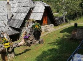 Apartment Skulova Vodenica, hotel v destinaci Mokra Gora