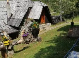Apartment Skulova Vodenica