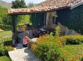 Old house Nilovic, inn in Livari