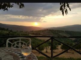 Camere e Appartamenti Baldini Romanita, Bed & Breakfast in Radda in Chianti