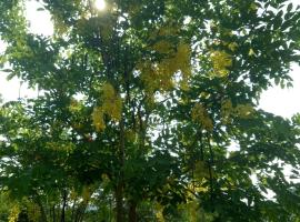 Kum Nangpaya, hotel v destinaci Kaeng Krachan