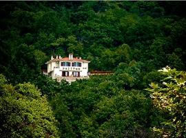 ΡΑΣΤΩΝΗ Πήλιο, hotel in Vizitsa