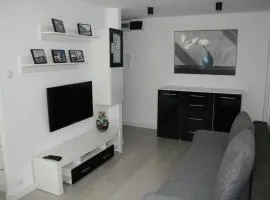 Apartament Miedzianka