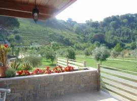 Tenuta calidarius
