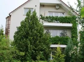Apartman-Donau Tát