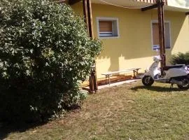 Lemon House