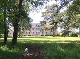 COLIVAULT, pet-friendly hotel in Candé-sur-Beuvron