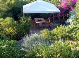 Aegina's Oasis，愛琴娜島的海濱度假屋