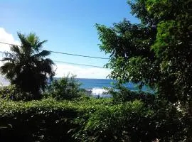 Charming 2BR with Refreshing Ocean View