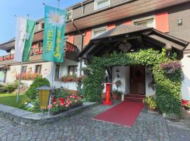 Hotel Silberdistel, hotel din Hinterzarten