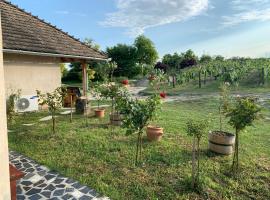 Buzál-Mórocza Pincészet és Szálláshely, vacation rental in Etyek