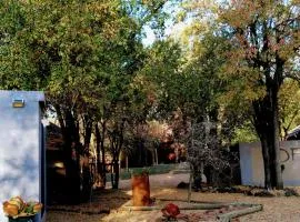 Off Beat Safaris Bush Lodge