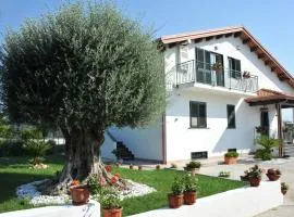 B&B Cascina Fiorita