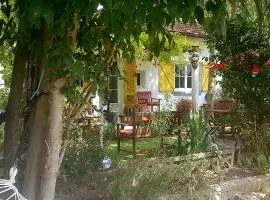 maison aux volets jaunes