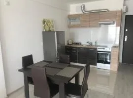 Apartament Pogodny