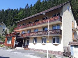Haus Mena Apartments, ski resort in Wildemann