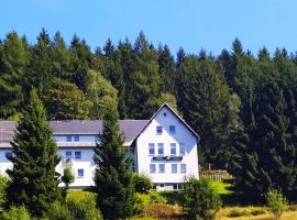 Greizer Kammhütte Gaststätte & Pension, hotel en Klingenthal