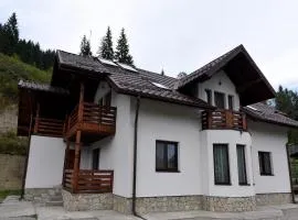 Casa Diaconu
