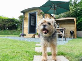 Buttles Shepherd's Hut, tapak perkhemahan di Saundersfoot