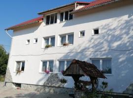 Casa Tonyza, hotel con piscina en Cisnădie