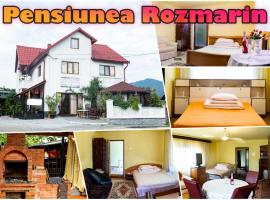 Pensiunea Rozmarin, hotelli kohteessa Sîngeorz-Băi