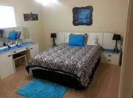Large Modern accomodation close to NRG, Medical Center, Galleria MD Anderson, St Luke