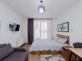 Ski In/Out Apartment in New Gudauri, Loft 2