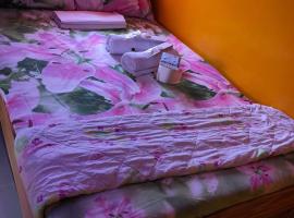 ALERTA ROOFTOP LODGE, hotel i Magdiwang