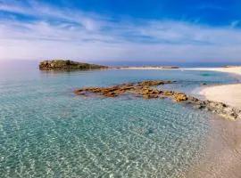 Nissi Golden Sand lovely one bedroom apartment with spacious terrace and free parking