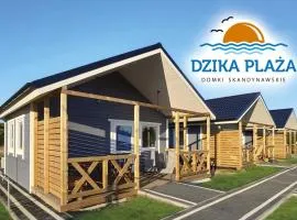 Dzika Plaża Wierzchucino