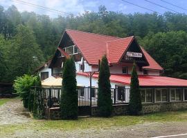 Popas Balea Rau, accessible hotel in Cîrţişoara