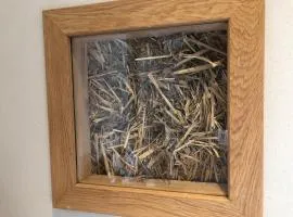 Poelyck: Übernachten in einem Strohhaus, umgeben von purer Natur!