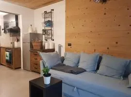 Milla Appartamento 4-6 letti - Pontagna -1km Ponte di Legno T04416