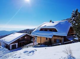 Almhaus Pleschinhof、ホーホのホテル