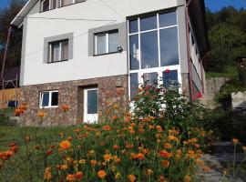 Casa din prund Ocolis, seoska kuća u gradu Ocoliş