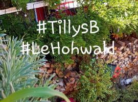 Tilly's B&B and apartment house, homestay in Le Hohwald