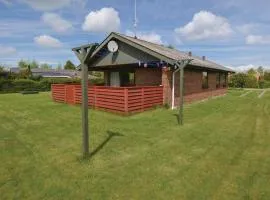 Holiday Home Birkemose Iv