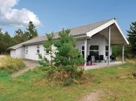 Holiday Home Horns Bjerge Blåvand Xi