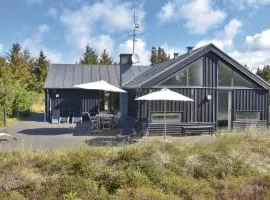 Awesome Home In Ringkbing With 3 Bedrooms, Sauna And Wifi