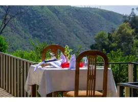 Thomsons Falls Lodge