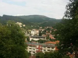 Трънската къща
