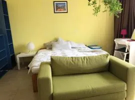 Jivko's Studio